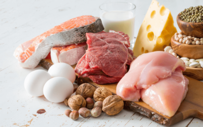 Where’s the Protein?!?!