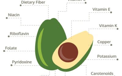 Fats will make you Fat