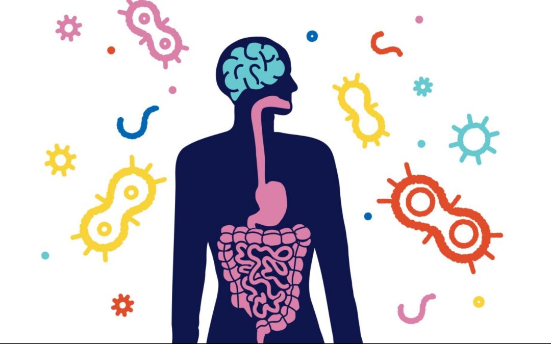 Why Your Gut Can Be your Brains Best Friend